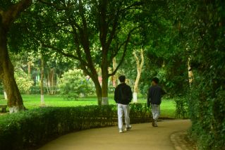 Two men leisurely walk down a tree-lined pathway in a lush green park.